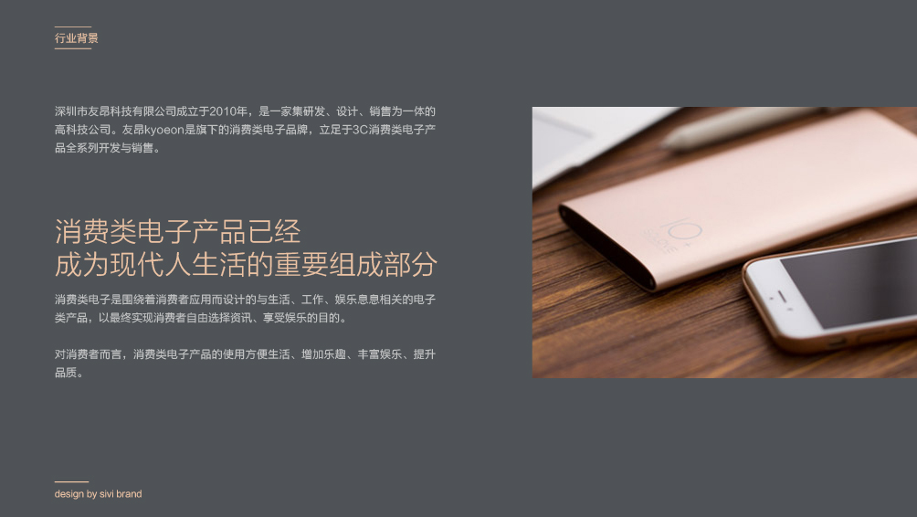 友昂电子快消品品牌全案策划