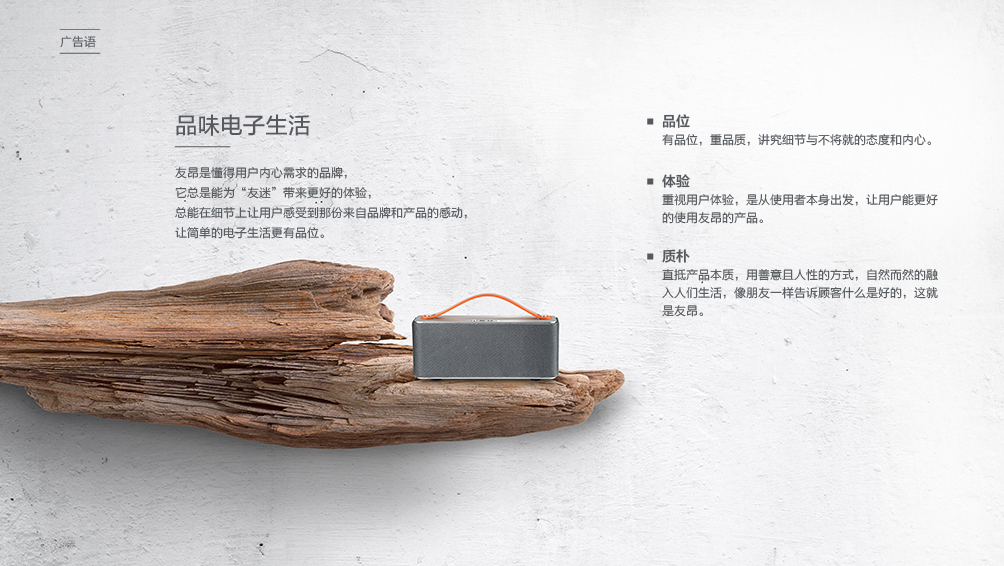友昂电子快消品品牌全案策划